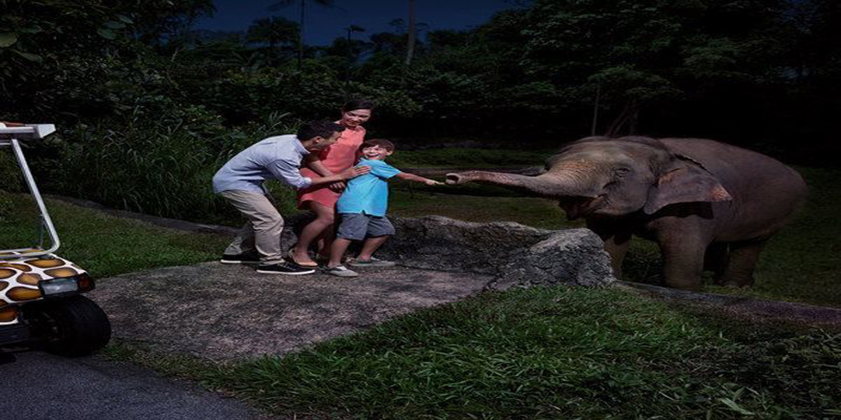 Andaman Travel Tips: Everything You Need to Know