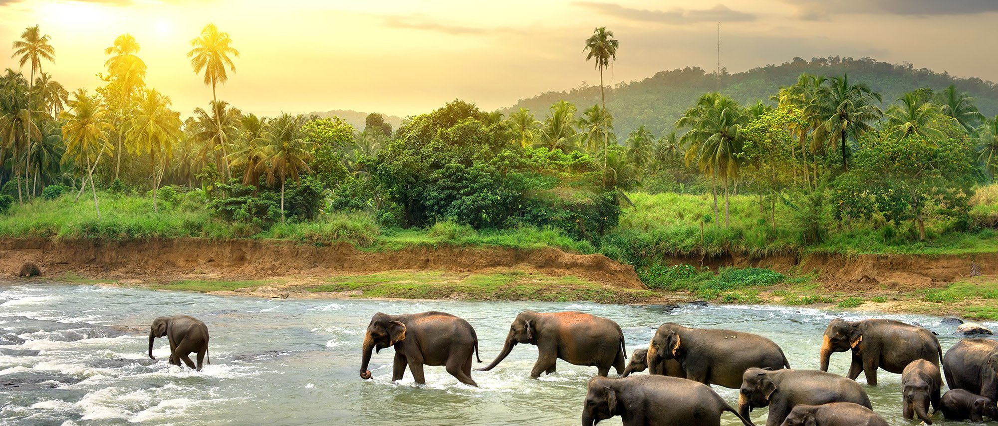 Thailand Visa on Arrival Guide for Indians 2026