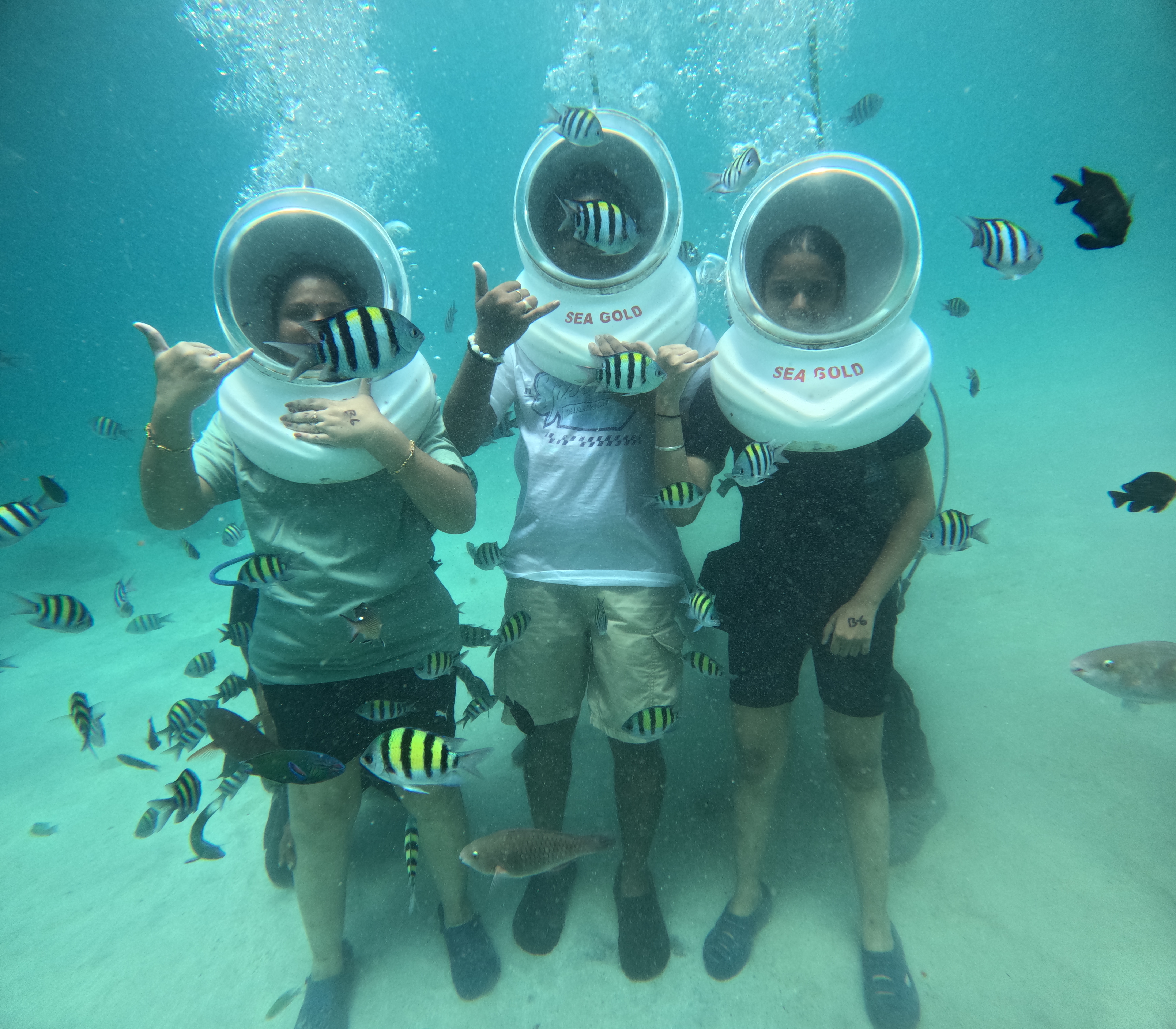 Under Seawalk