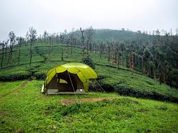 Wayanad 2N/3D