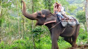 Explore Megamalai VagamonKuttikkanam Package 2N/3D