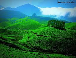 Explore Megamalai VagamonKuttikkanam Package 2N/3D